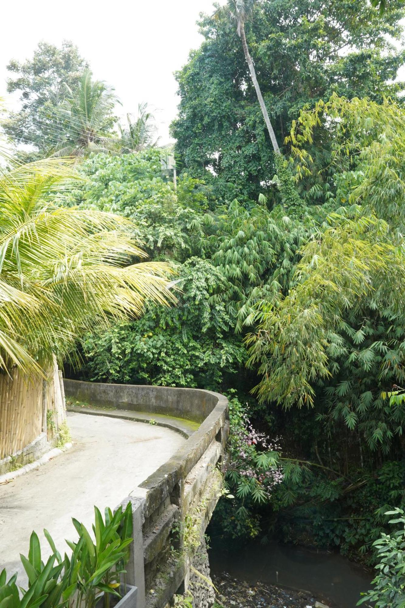 Central House Ubud Exterior foto